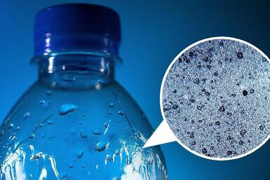 Hàng ngày chúng ta bị nhiễm nhiều hạt vi nhựa qua ăn uống